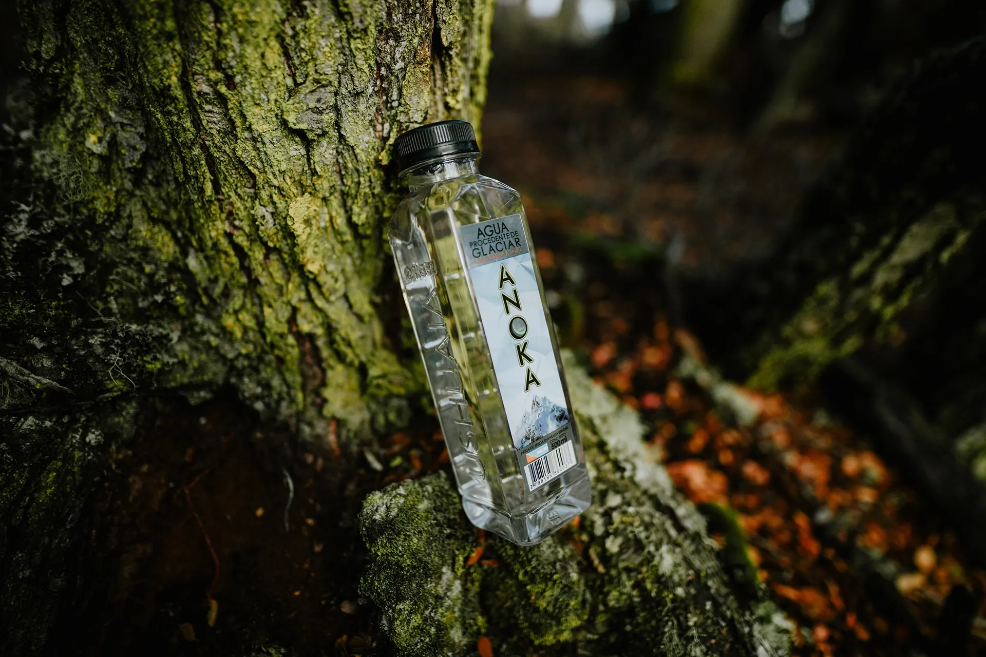 Glaciares Colgantes de Ushuaia